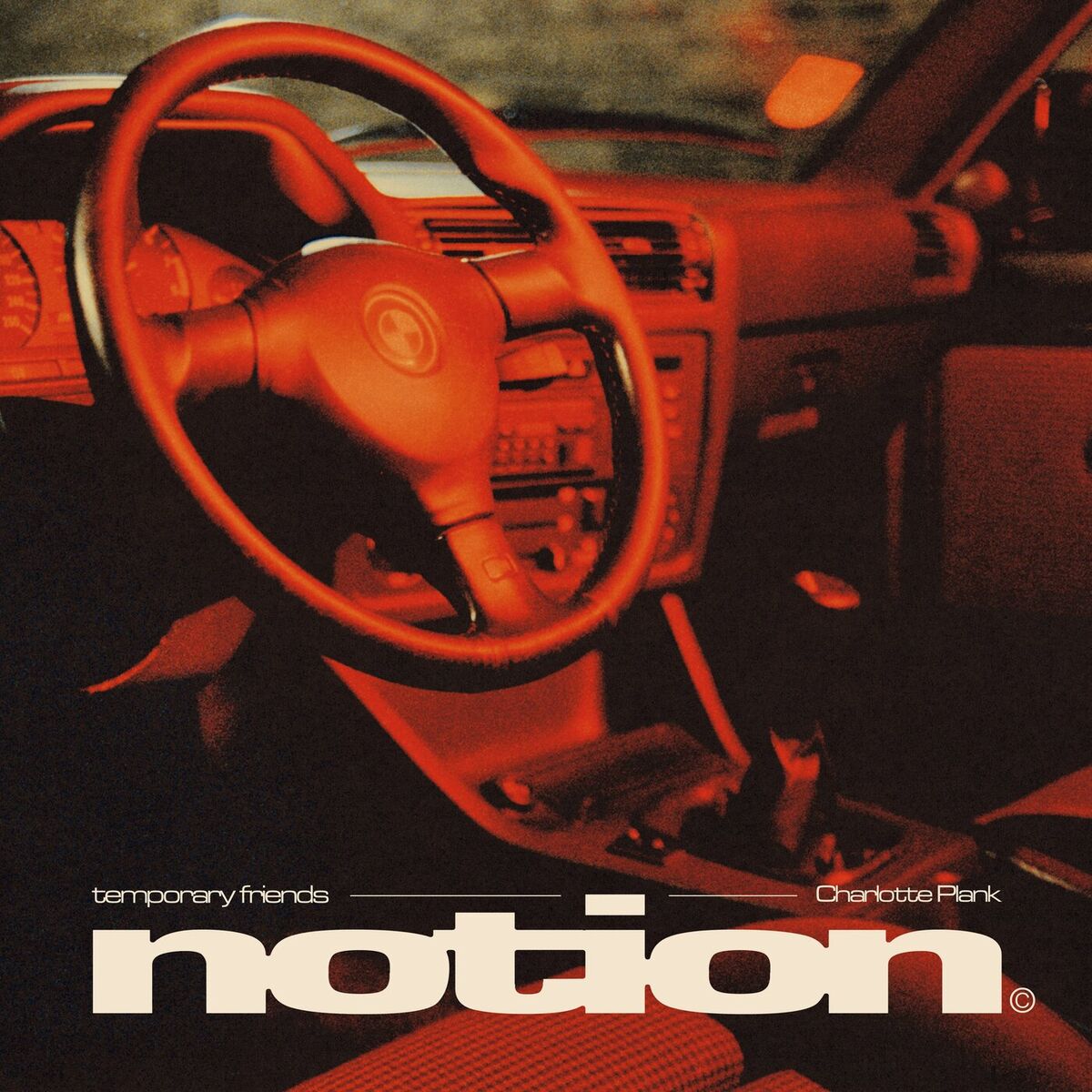 Album cover of TEMPORARY FRIENDS
