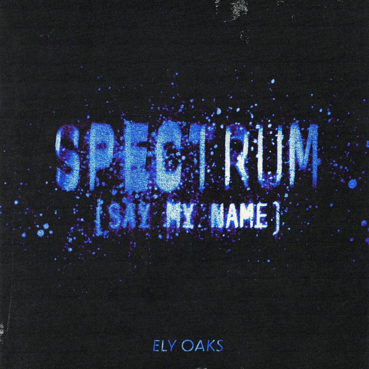 Album cover of Spectrum (Say My Name)