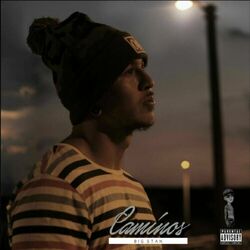 Cover of CAMINOS