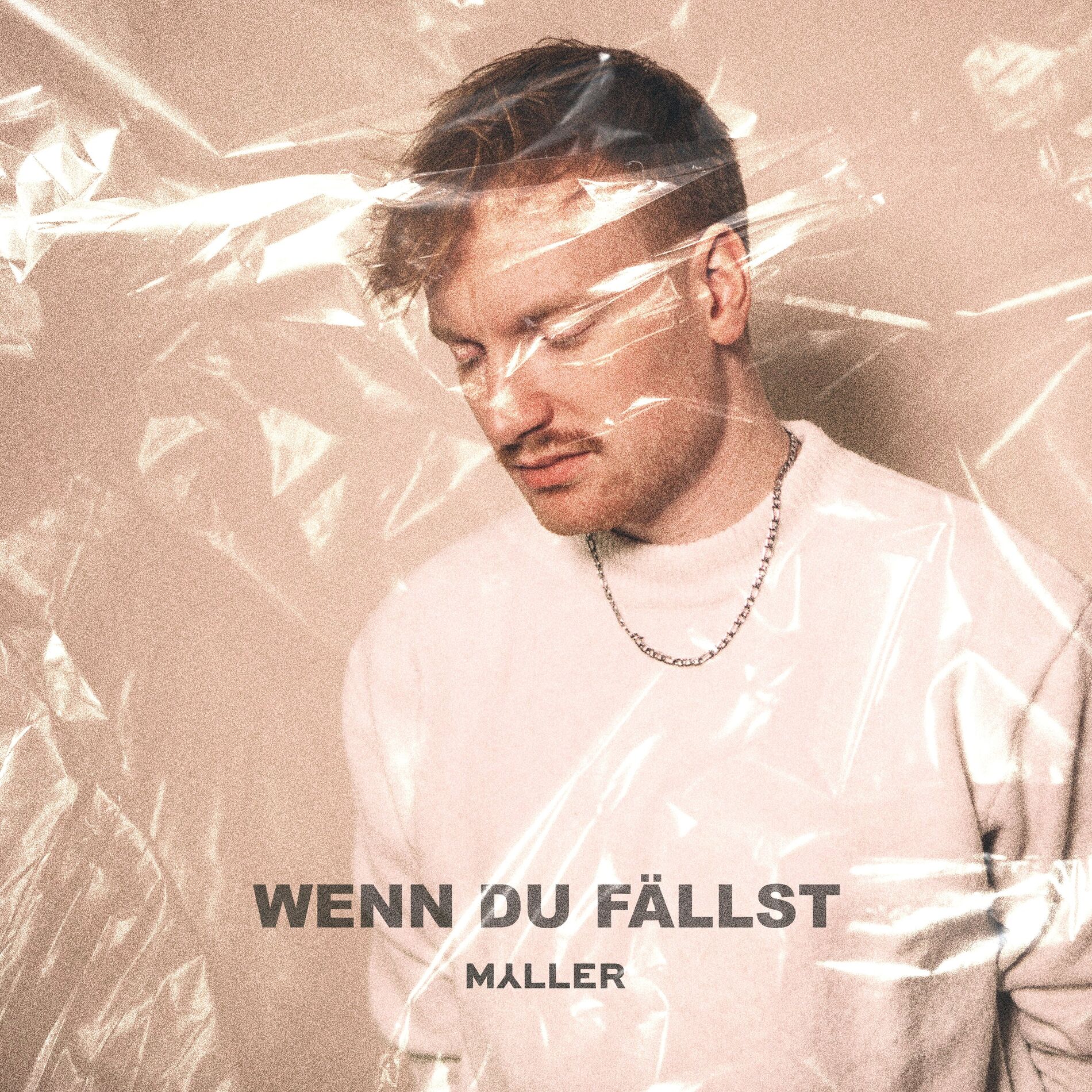 Album cover of Wenn du fällst