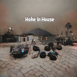 Cover of Hohe in House