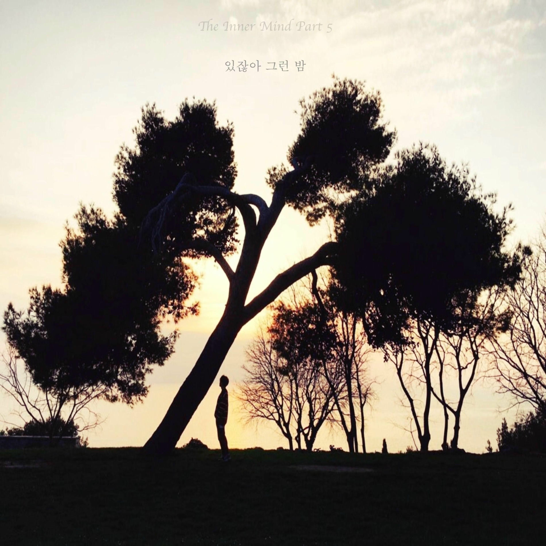 Album cover of The Inner Mind Part 5