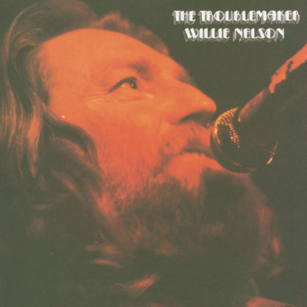 Album cover of The Troublemaker