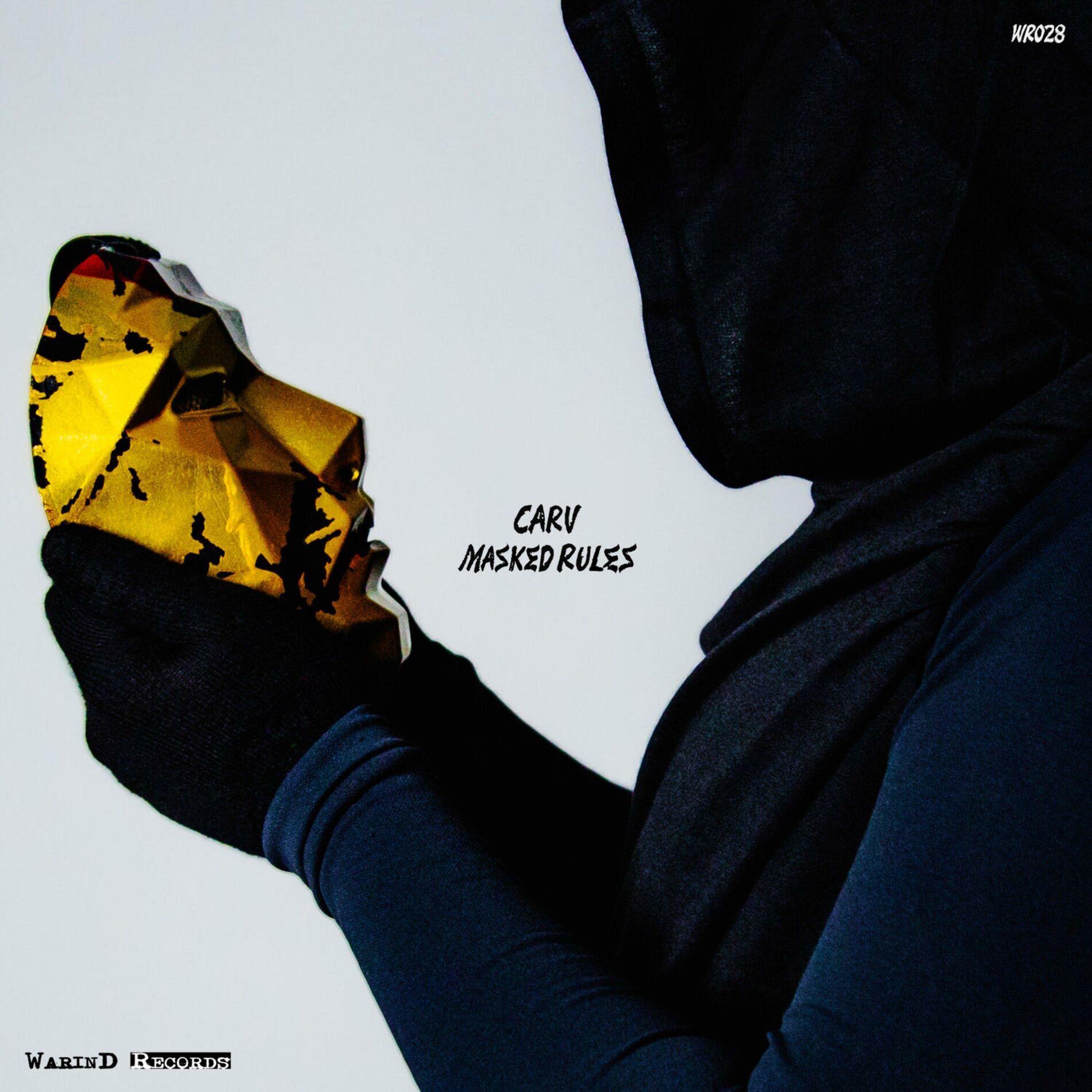 Album cover of Masked Rules