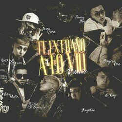 Te Extraño a Lo Vio (feat. Balbi El Chamako, Bayron Fire, Bayriton, Tommy Boysen, Gringuitos Records, El Rey) (Remix)