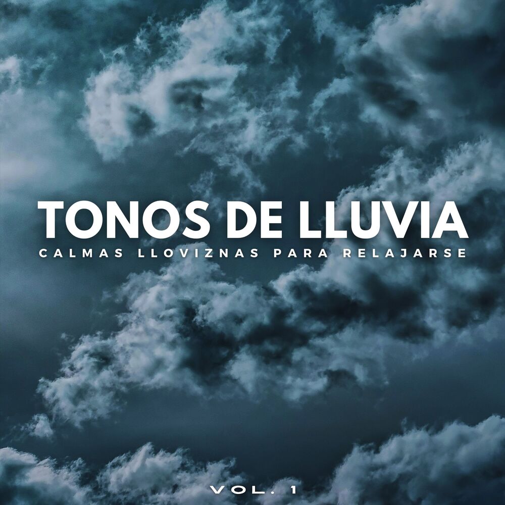 Picture of Tonos De Lluvia: Calmas Lloviznas Para Relajarse Vol. 1