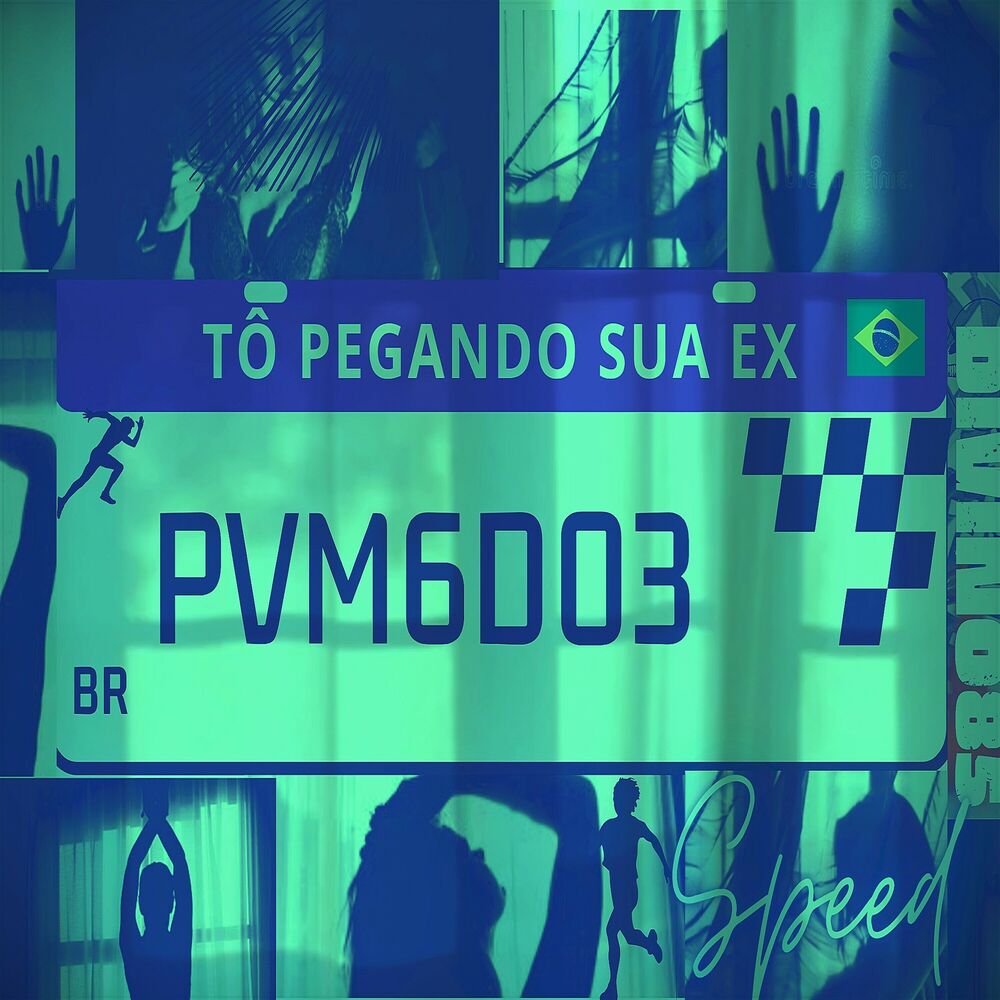 Picture of Tô Pegando Sua Ex (Speed Up)