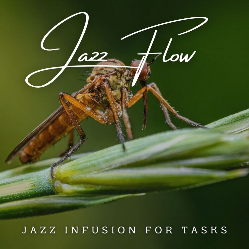 Picture of Jazz Flow: Cafe Lounge for Productivity