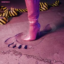 Cover of Big Foot