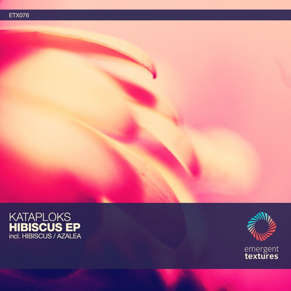 Picture of Hibiscus