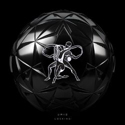 Cover of Locking