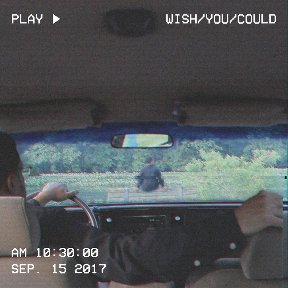 Picture of Wish You Could