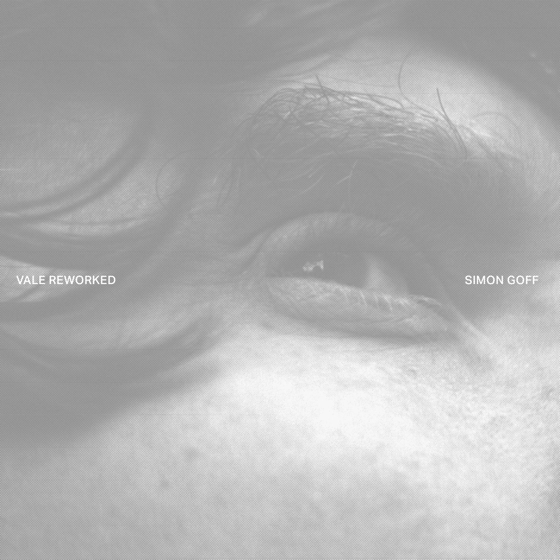 Album cover of Vale Reworked