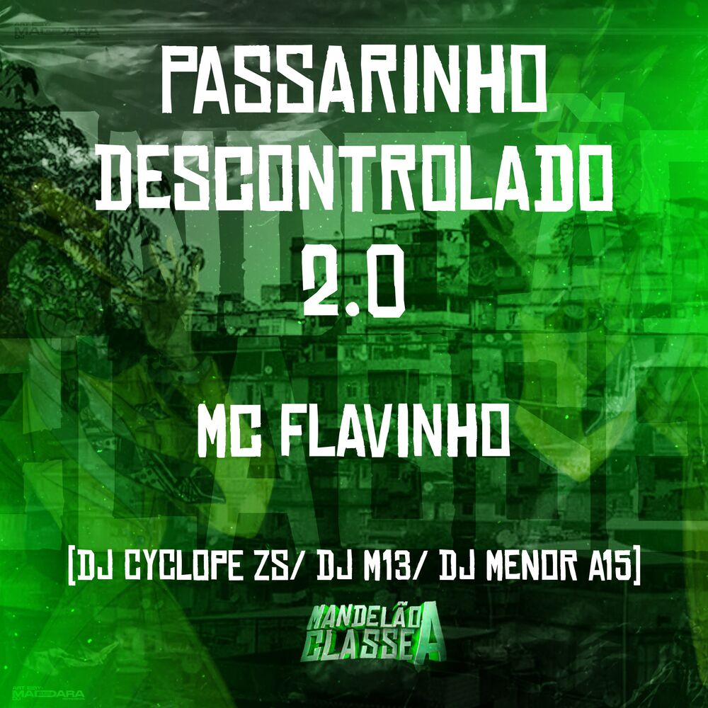 Picture of Passarinho Descontrolado 2.0
