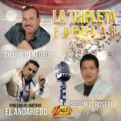 Cover of La Tripleta Popular, Vol. 3