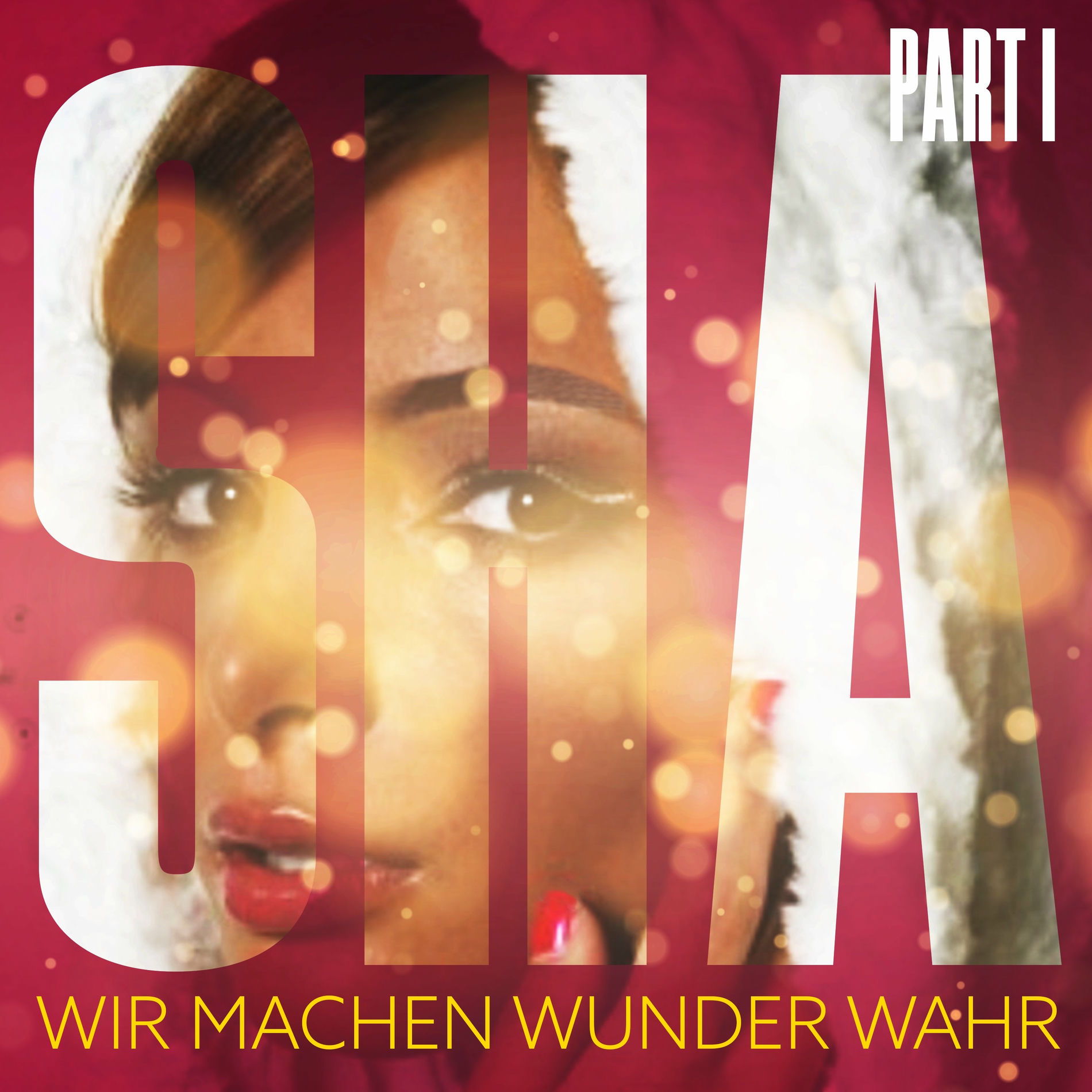 Album cover of Wir machen Wunder wahr