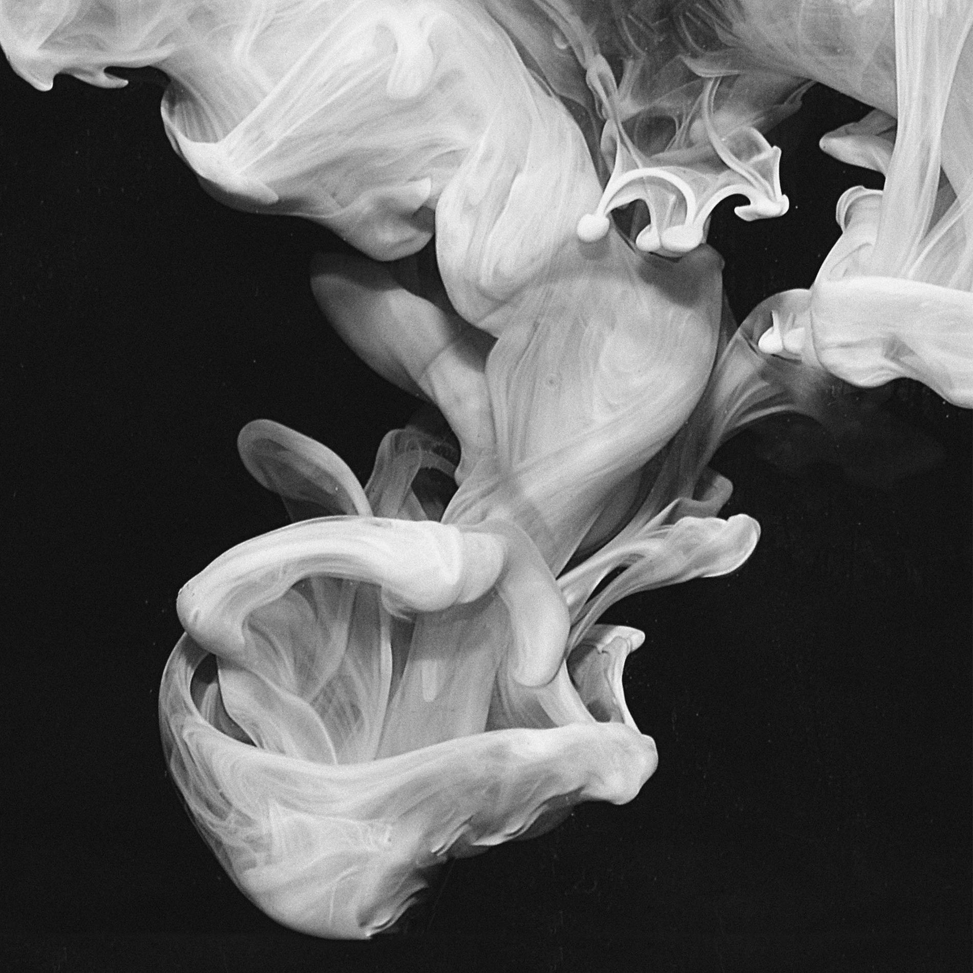 Album cover of Caught in a Wave (single version)