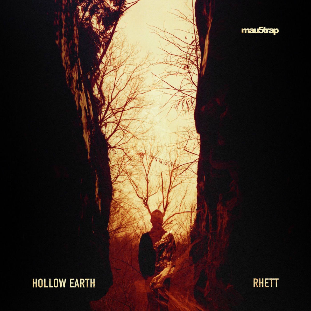 Album cover of Hollow Earth