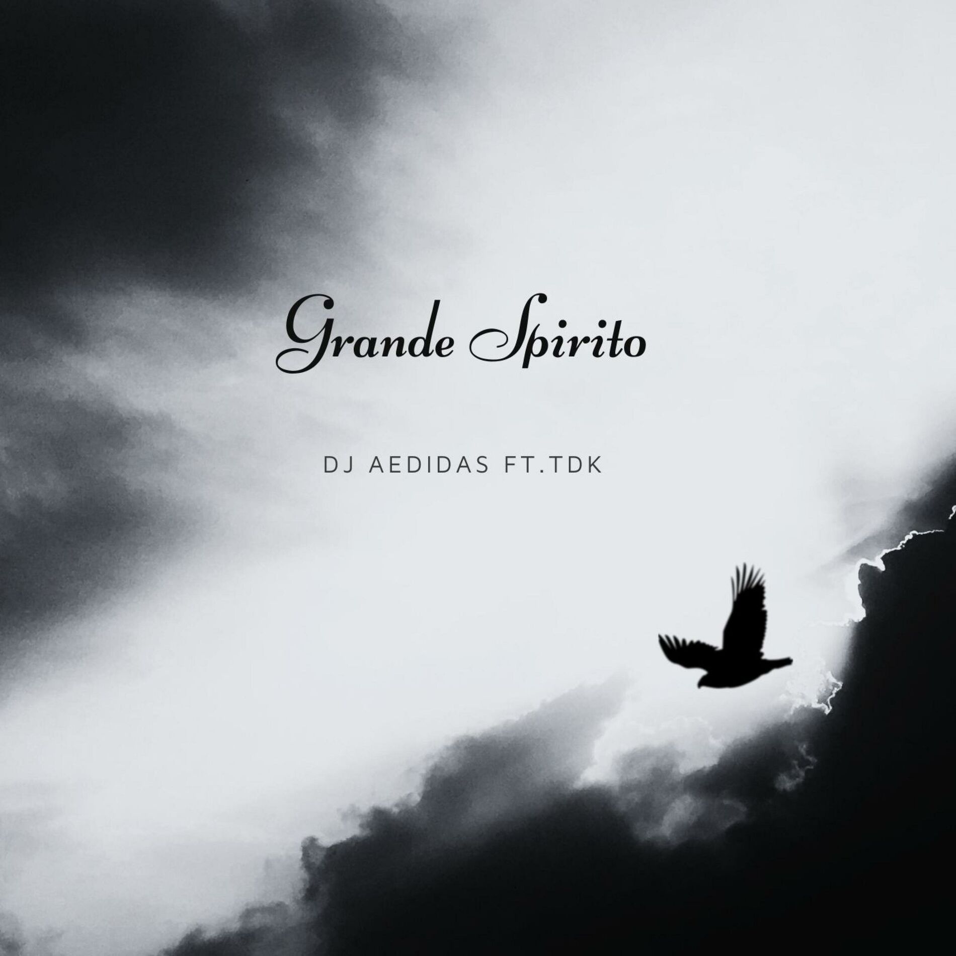 Album cover of Grande spirito (feat. TDK)