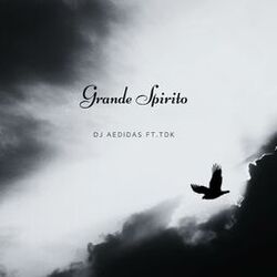 Cover of Grande spirito (feat. TDK)