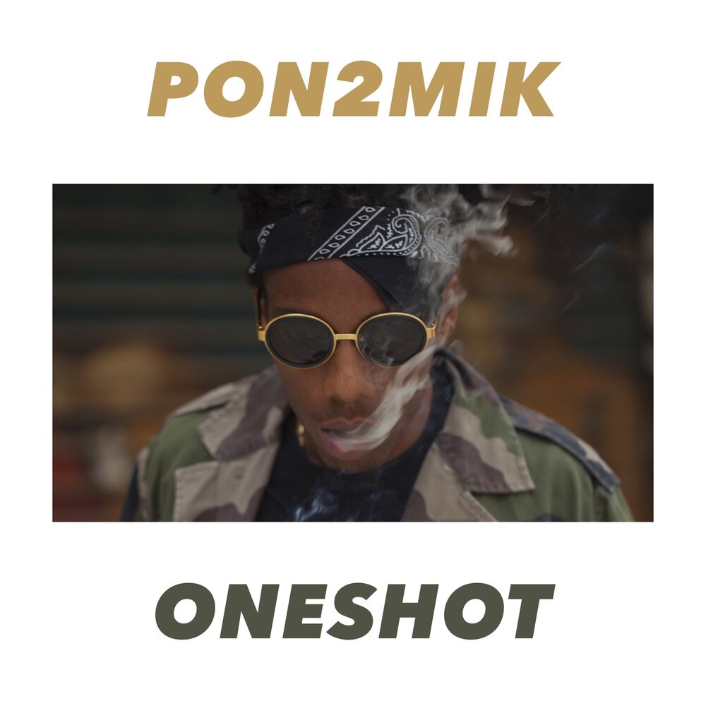 Picture of Oneshot