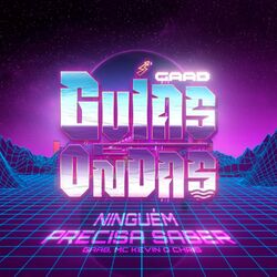 Cover of Ninguém Precisa Saber (Ao Vivo)