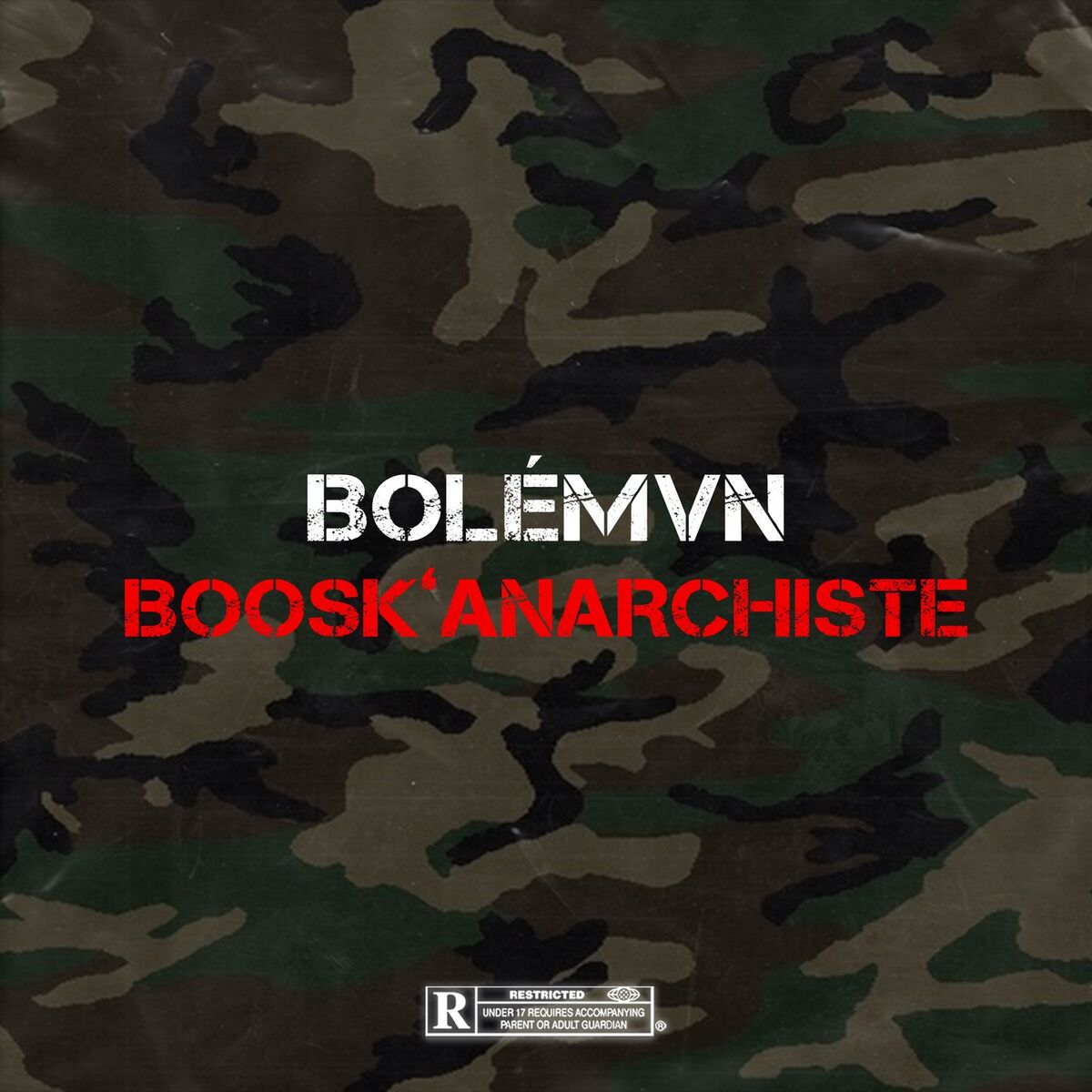 Album cover of Boosk'Anarchiste