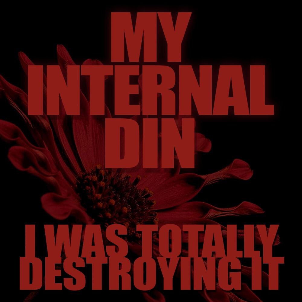 Picture of My Internal Din