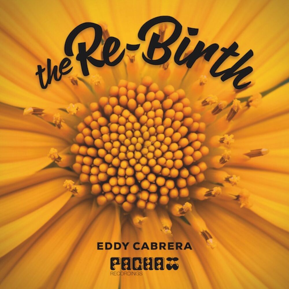 Picture of The Re-birth