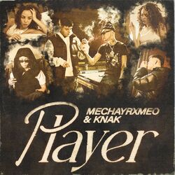 Cover of Player