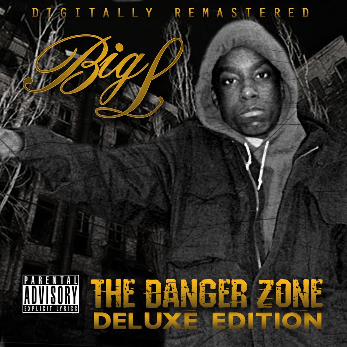 Album cover of Live in Amsterdam (feat. A.G. & Roc Raida)