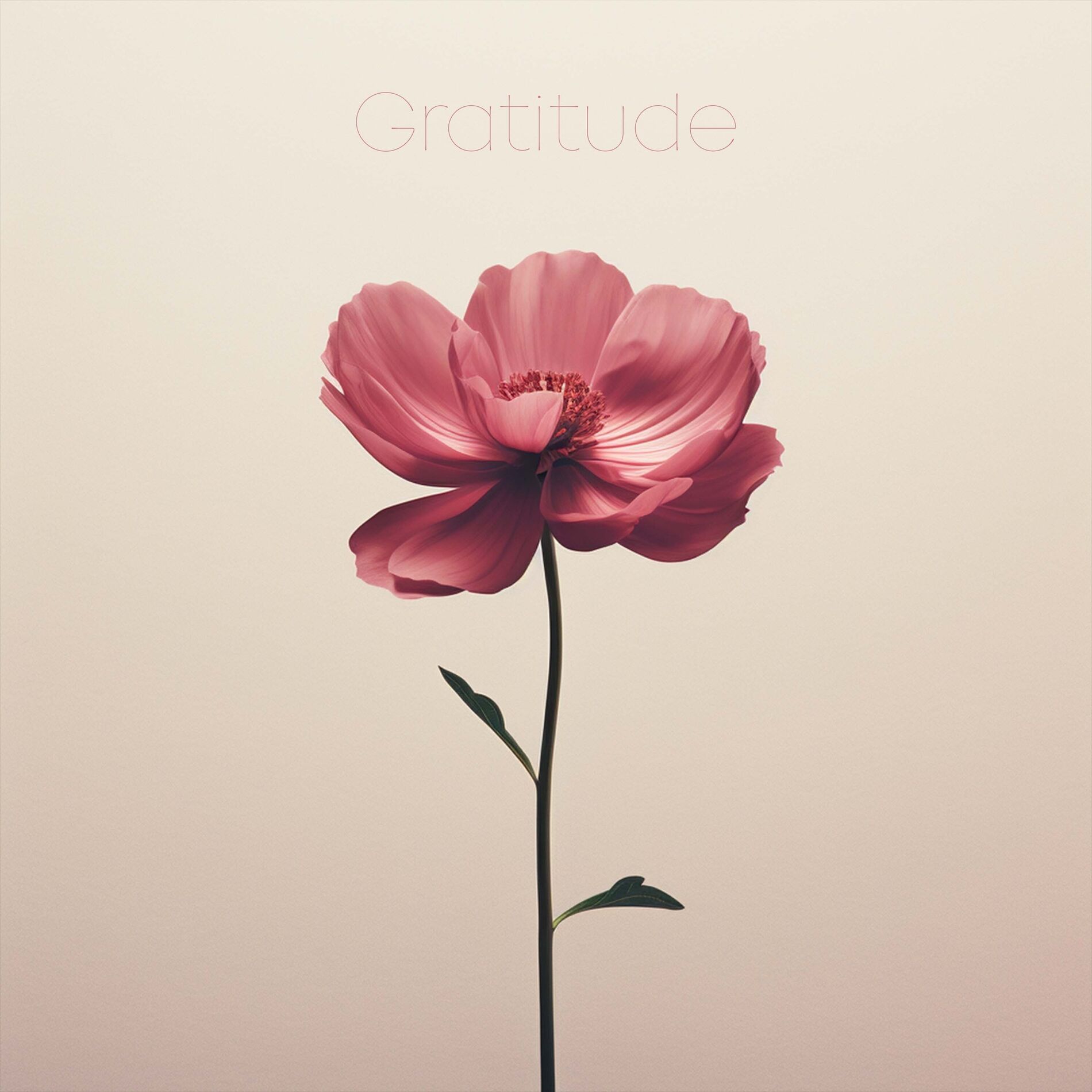 Album cover of Gratitude