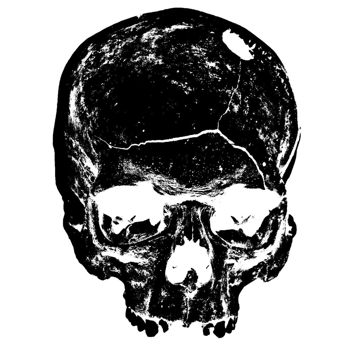 Album cover of Nomads