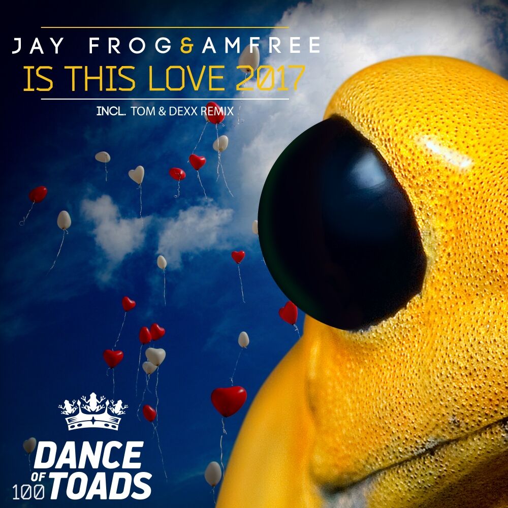 Picture of Is This Love 2017