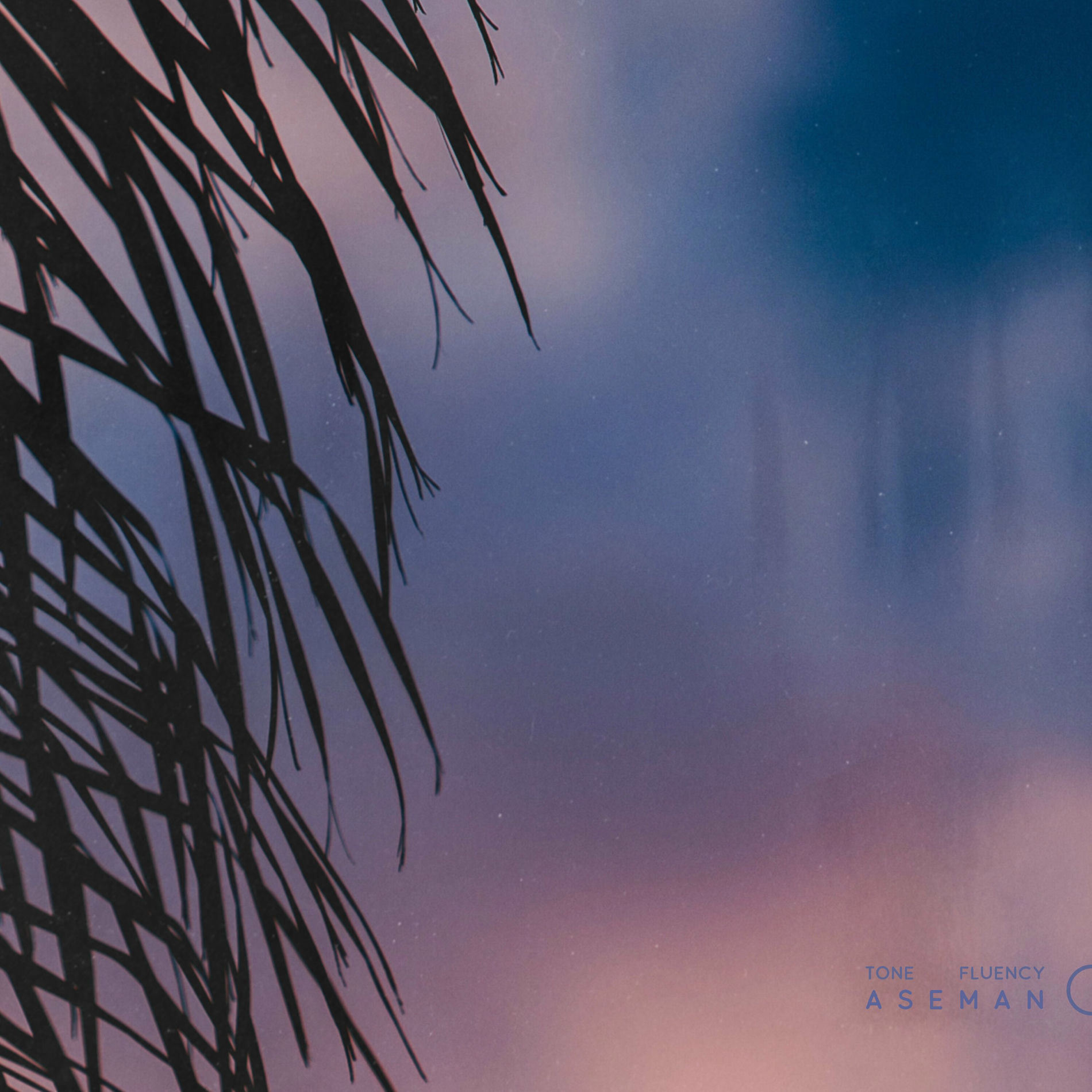 Album cover of Aseman