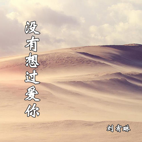 没有想过爱你