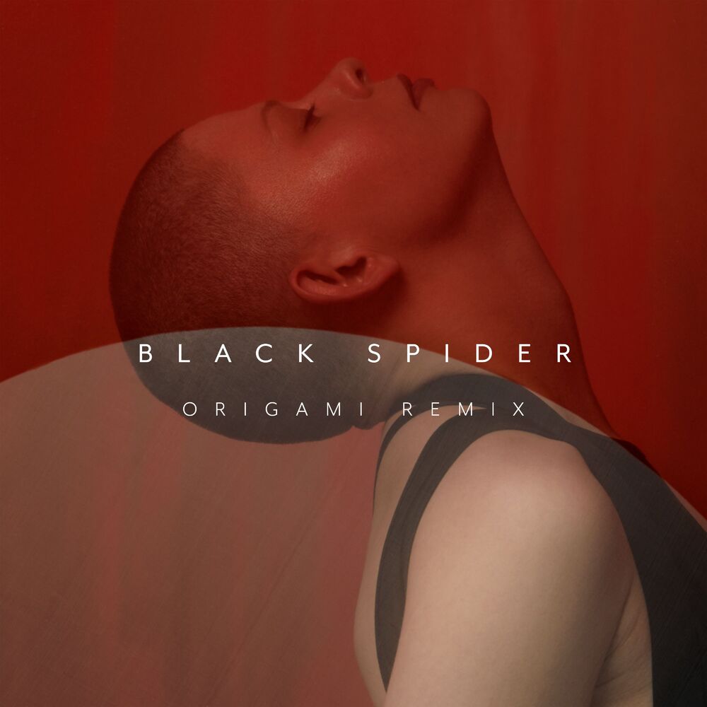Picture of Black Spider (Origami Remix)