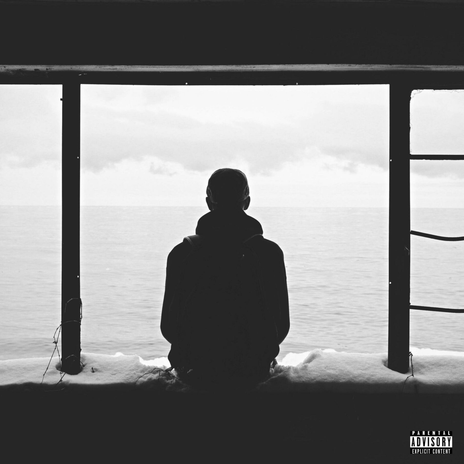Album cover of reminiscing: the hits