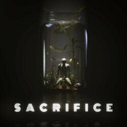 Cover of Sacrifice (ST Mix)