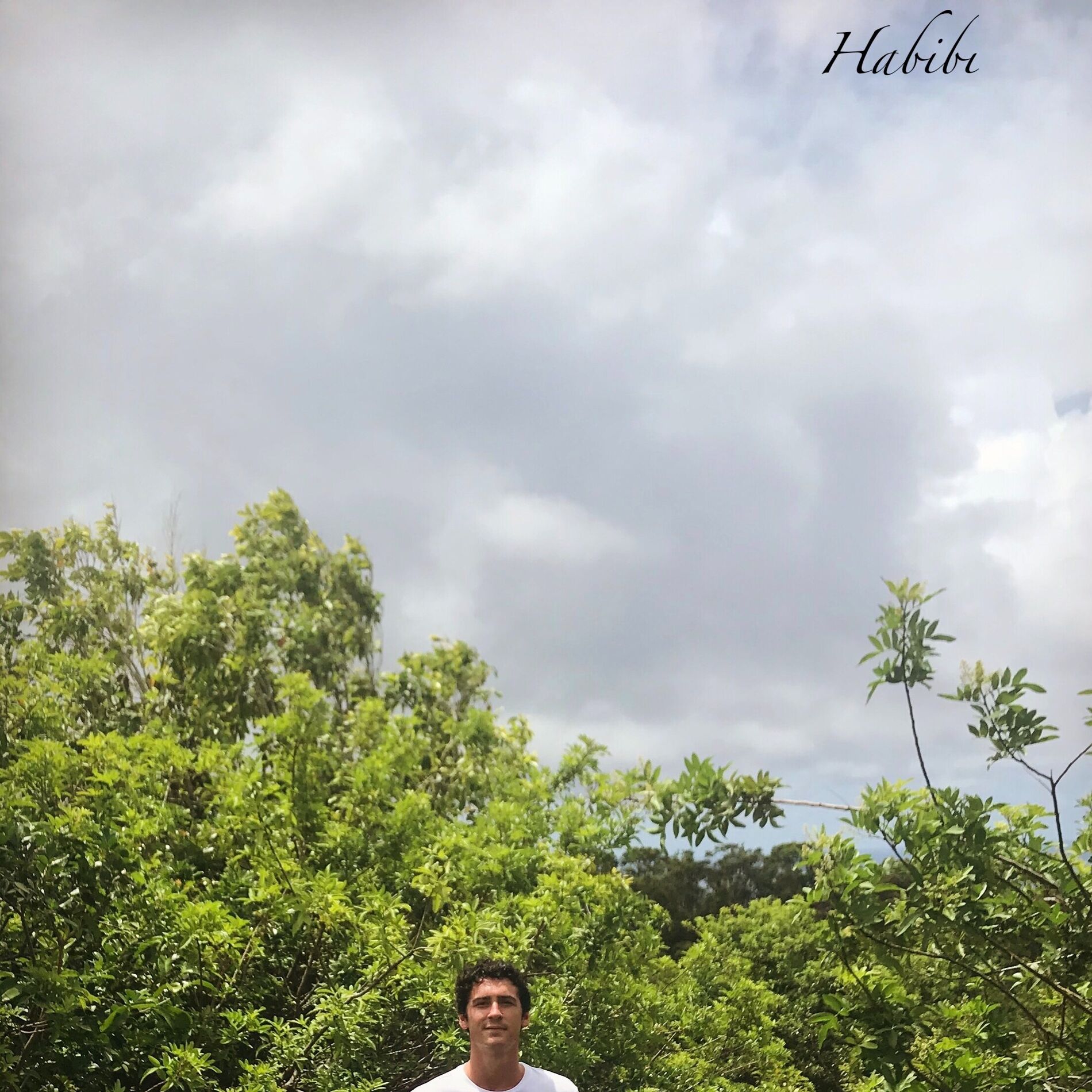 Album cover of Habibi