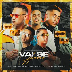 Cover of Vai se Acabar