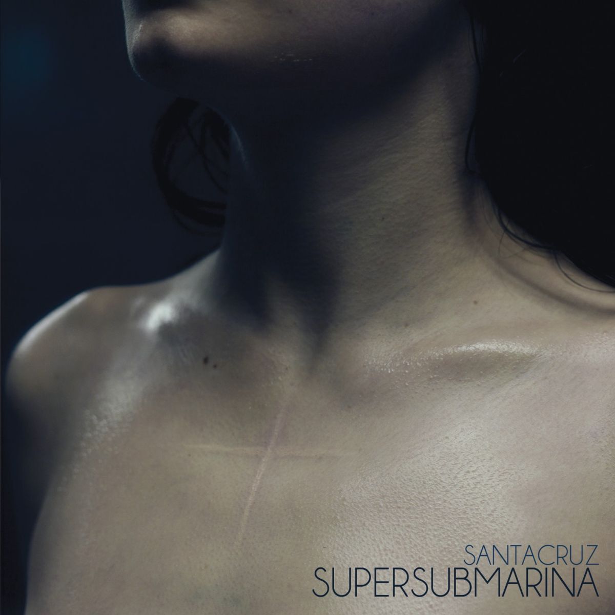 Album cover of Santacruz