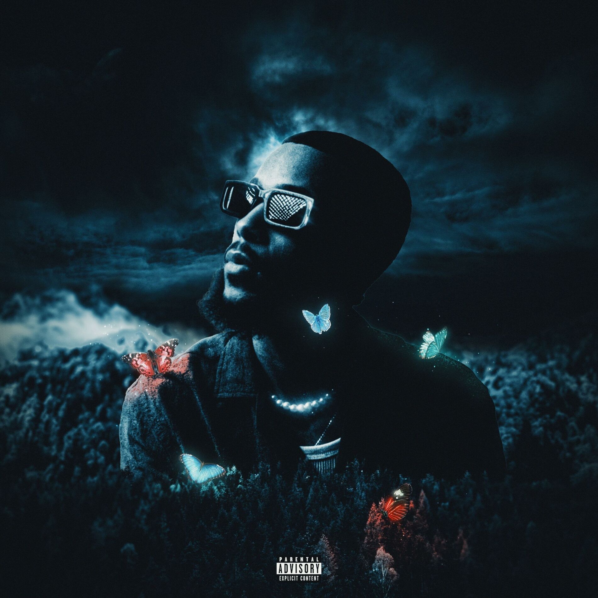 Album cover of Butterfly Effect