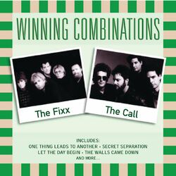 Cover of Winning Combinations
