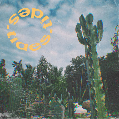 cloudwalk.