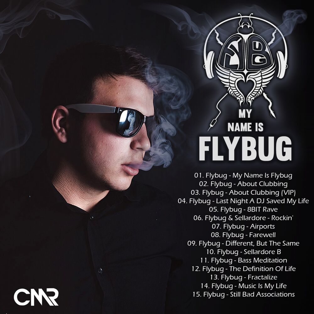Picture of My Name Is Flybug