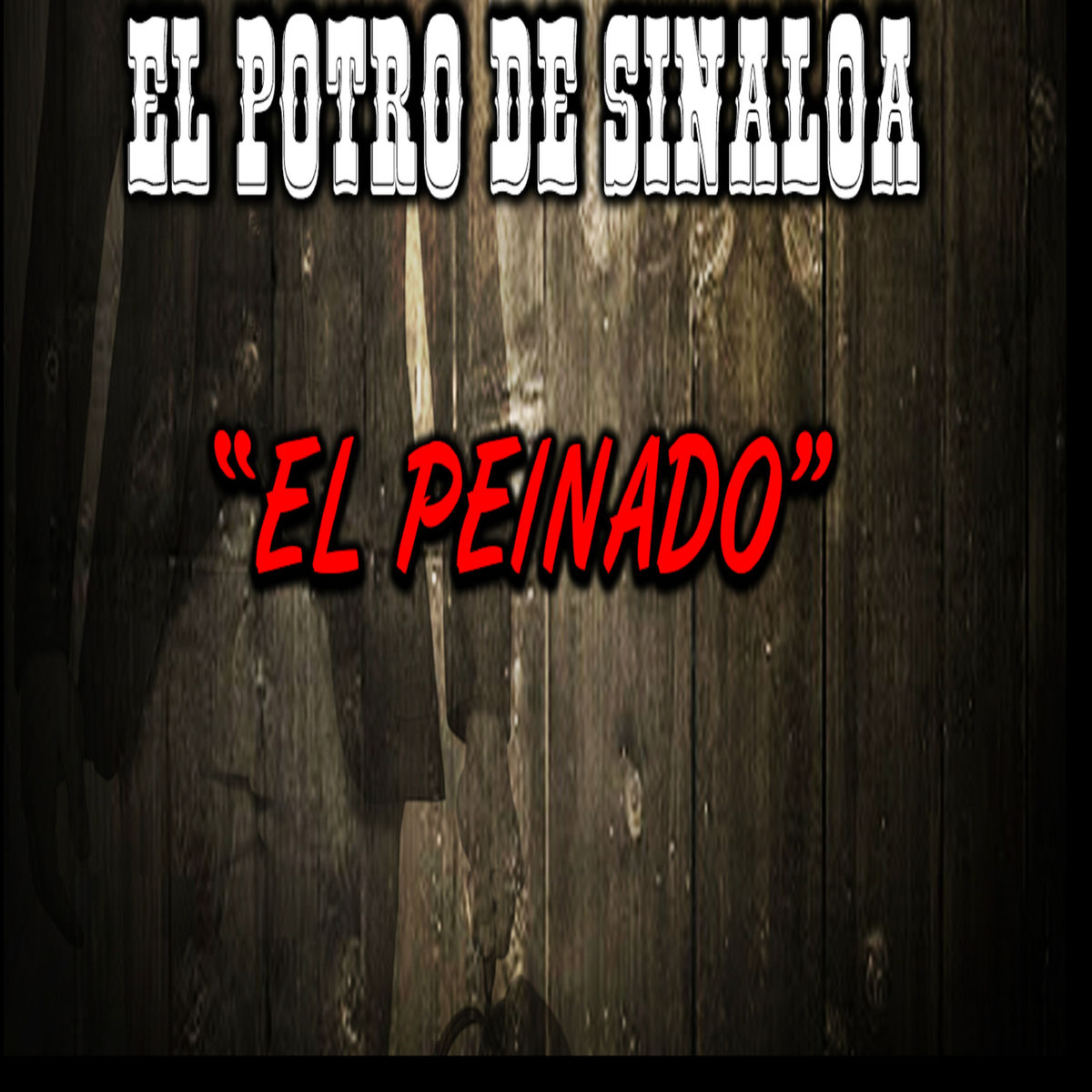 Album cover of Chuy y Mauricio