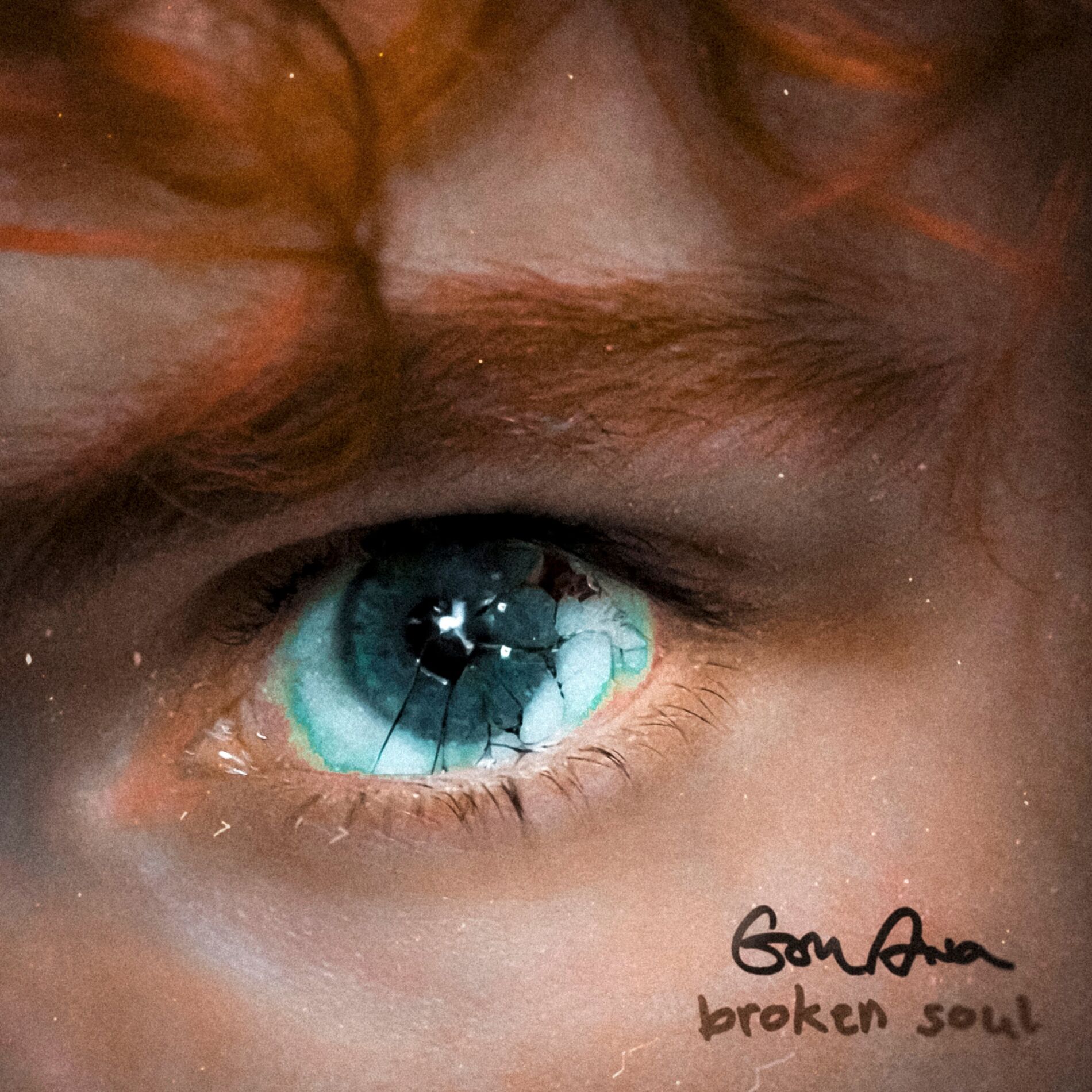 Album cover of broken soul