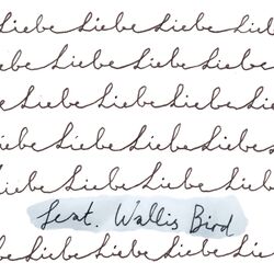 Cover of Liebe