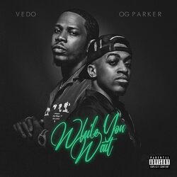 Cover of While You Wait